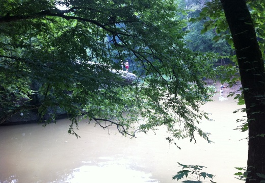 Sheltowee Trace, Red River Gorge